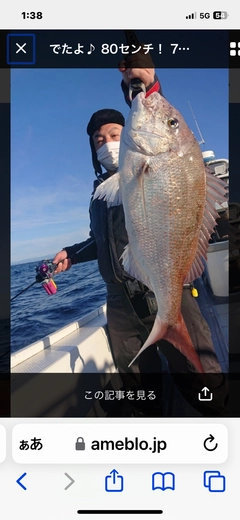 タイの釣果