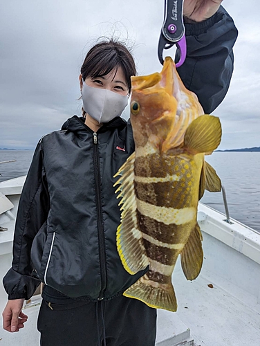 アオナの釣果