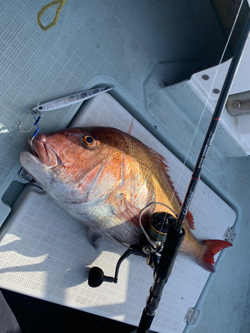 明人夢（あとむ）さんの釣果 2枚目の画像