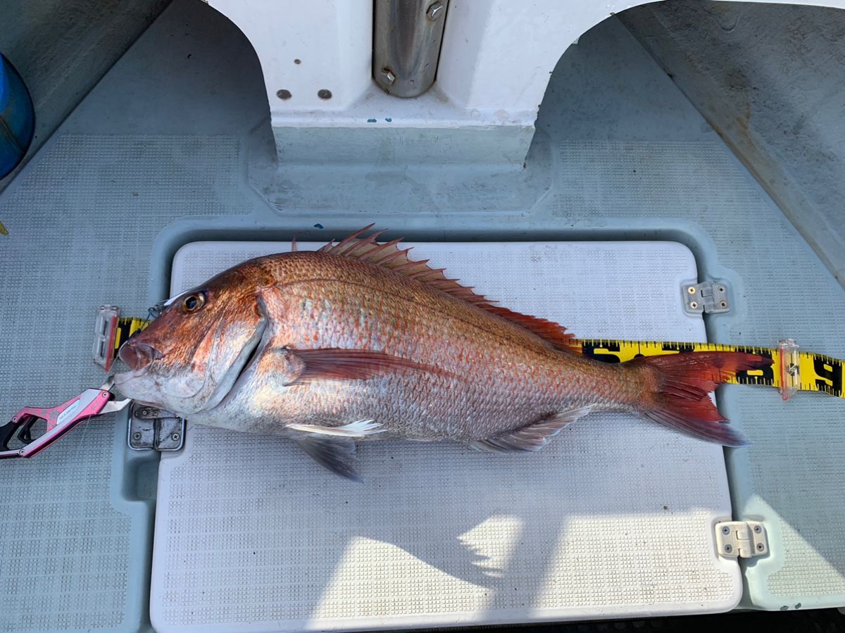明人夢（あとむ）さんの釣果 3枚目の画像