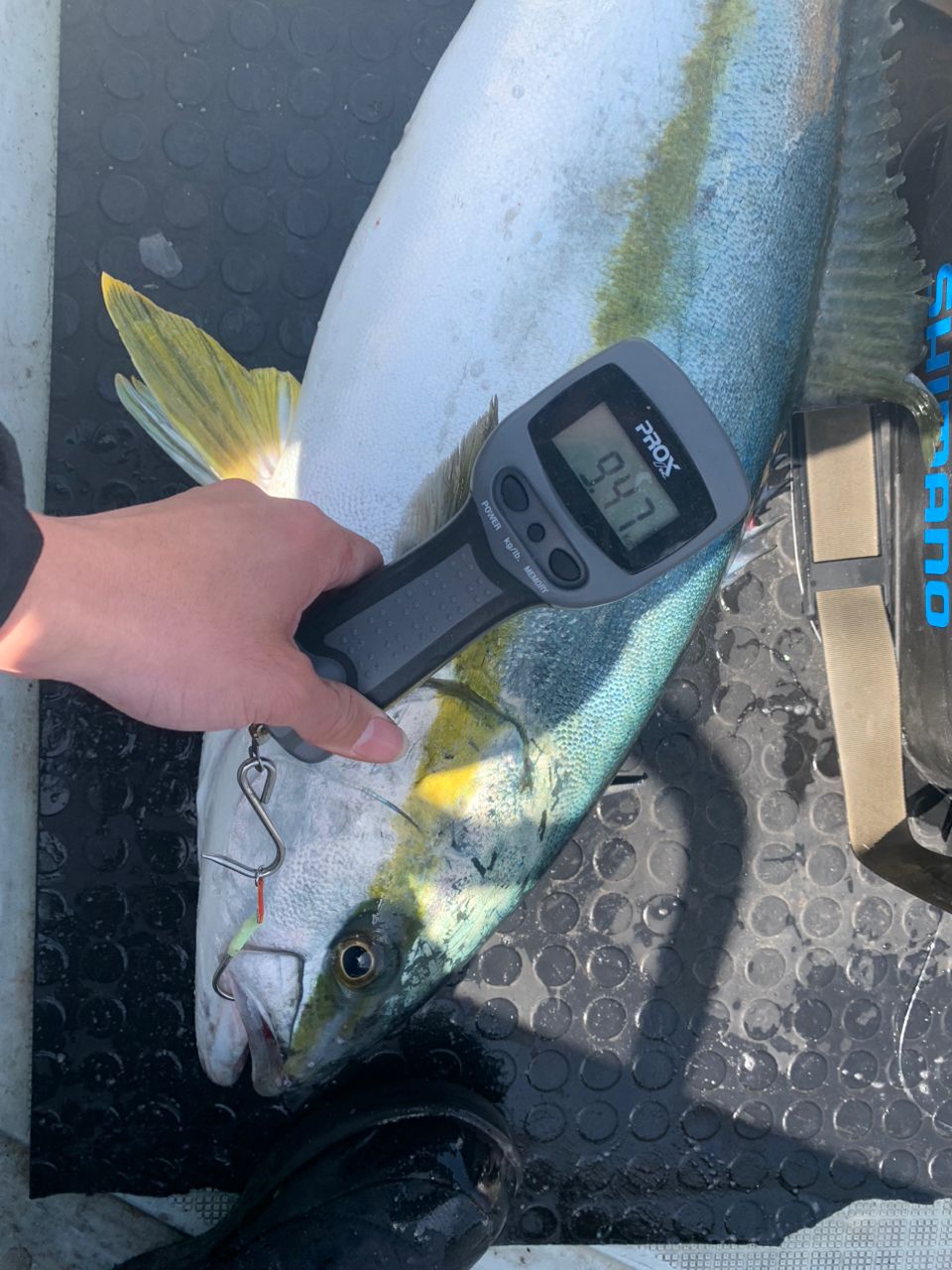 明人夢（あとむ）さんの釣果 2枚目の画像