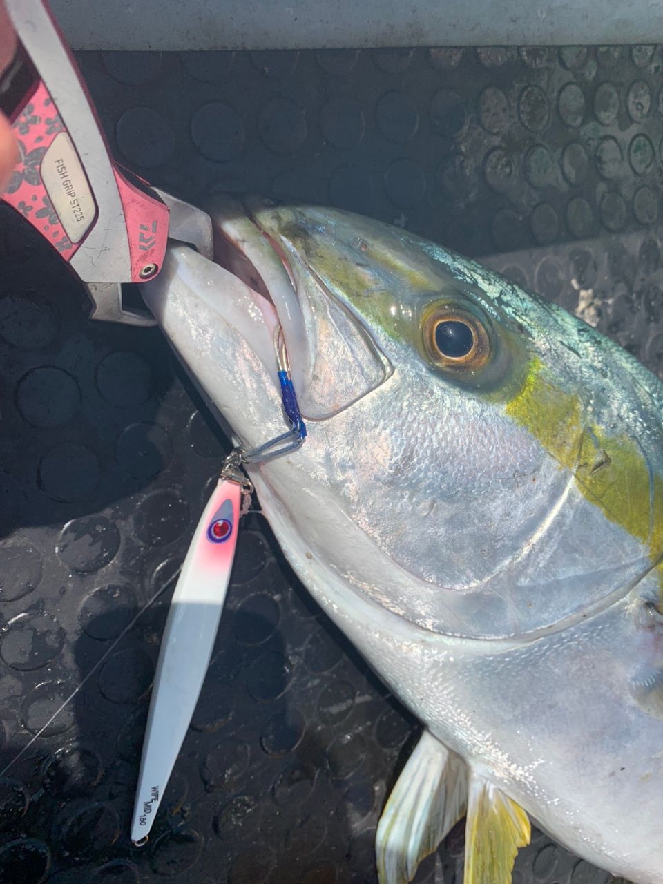 明人夢（あとむ）さんの釣果 3枚目の画像