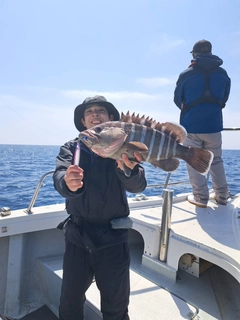 マハタの釣果