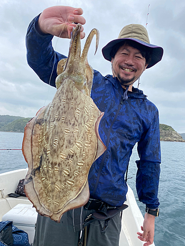 モンゴウイカの釣果