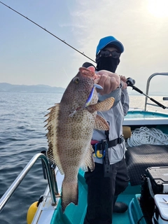 オオモンハタの釣果