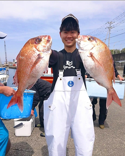 マダイの釣果