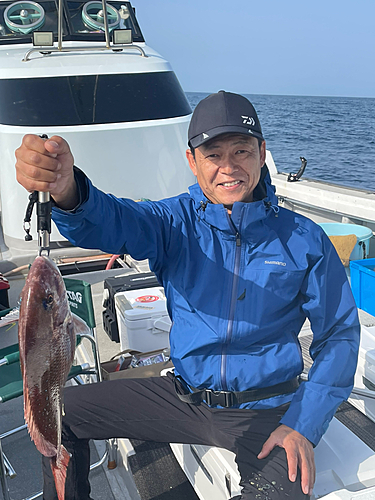 マダイの釣果