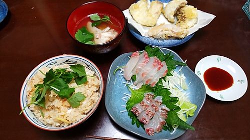 マルイカの釣果