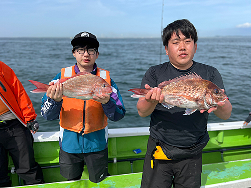 マダイの釣果