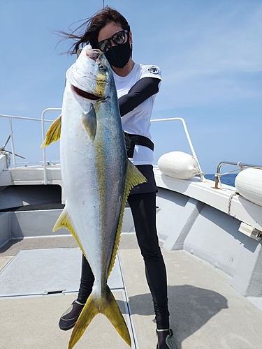 ヒラマサの釣果