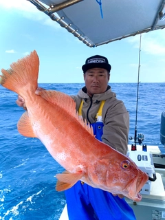 スジアラの釣果