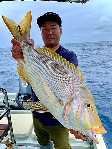 タマンの釣果