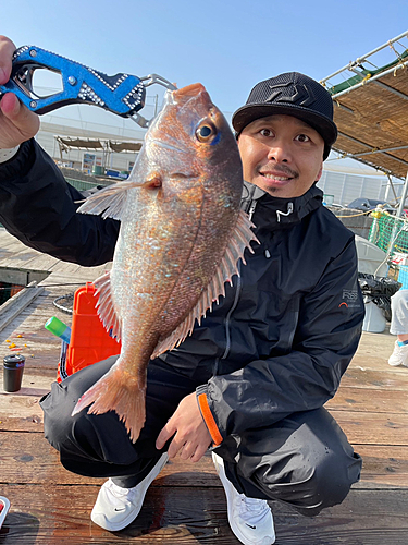 タイの釣果