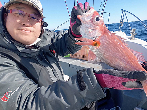 アカムツの釣果