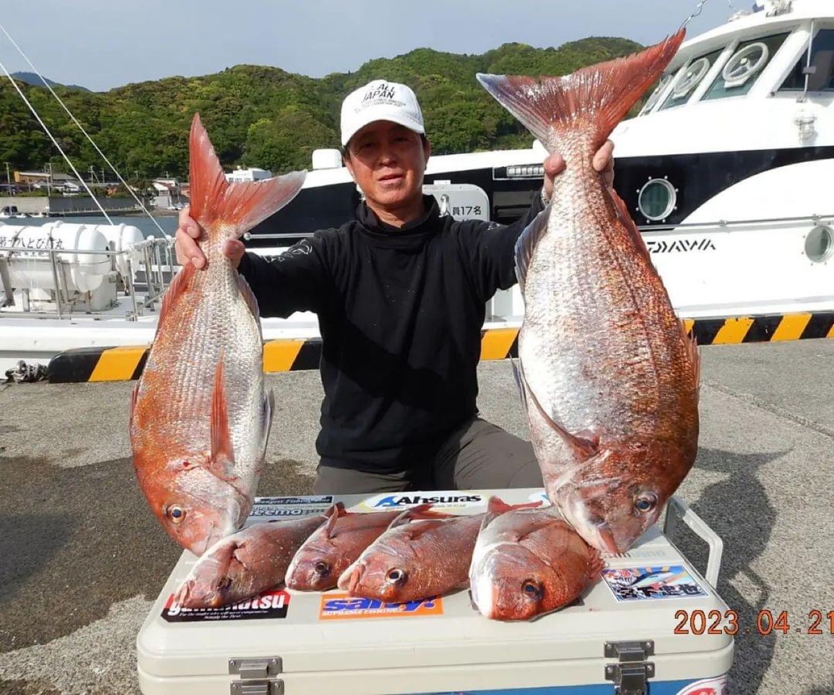 へっぽこ真鯛師さんの釣果 2枚目の画像