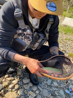 ニジマスの釣果