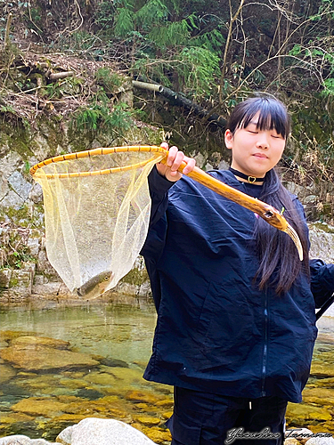 ニジマスの釣果