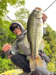 ブラックバスの釣果