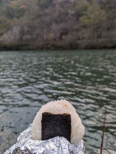 ヘラブナの釣果