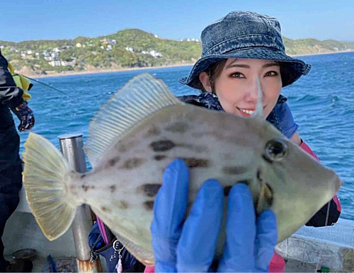 カワハギの釣果