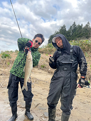 ニゴイの釣果