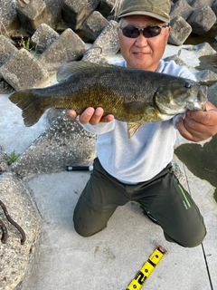 スモールマウスバスの釣果