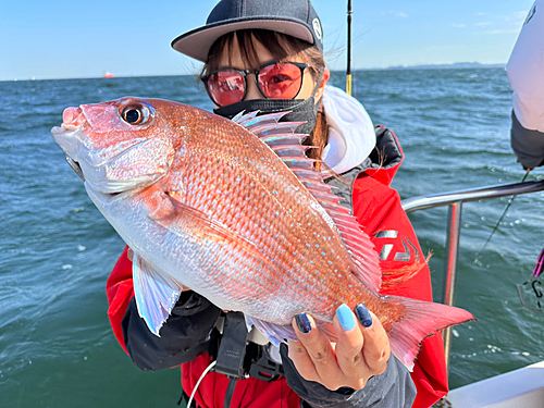 マダイの釣果