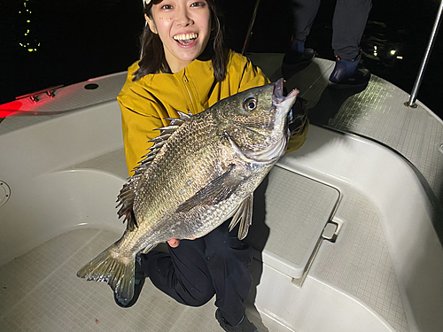 クロダイの釣果