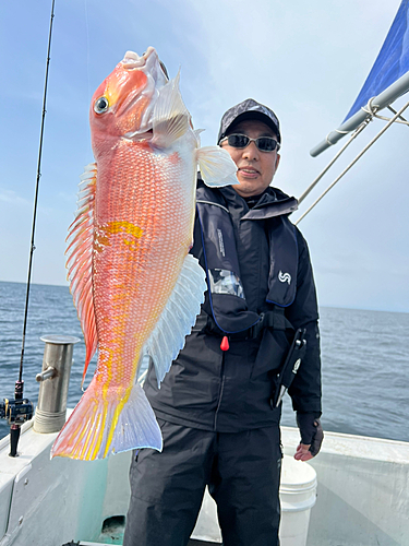 アカアマダイの釣果