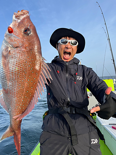 マダイの釣果