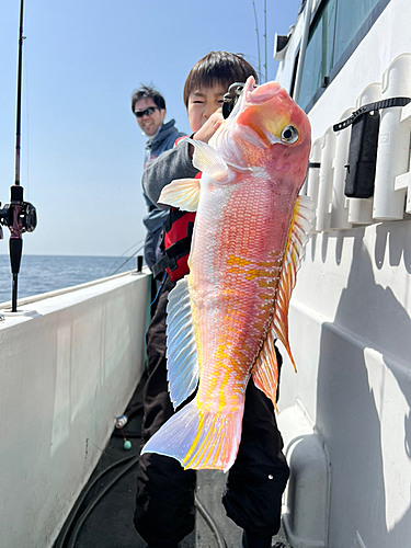 アカアマダイの釣果