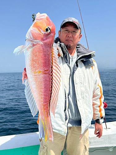 アカアマダイの釣果