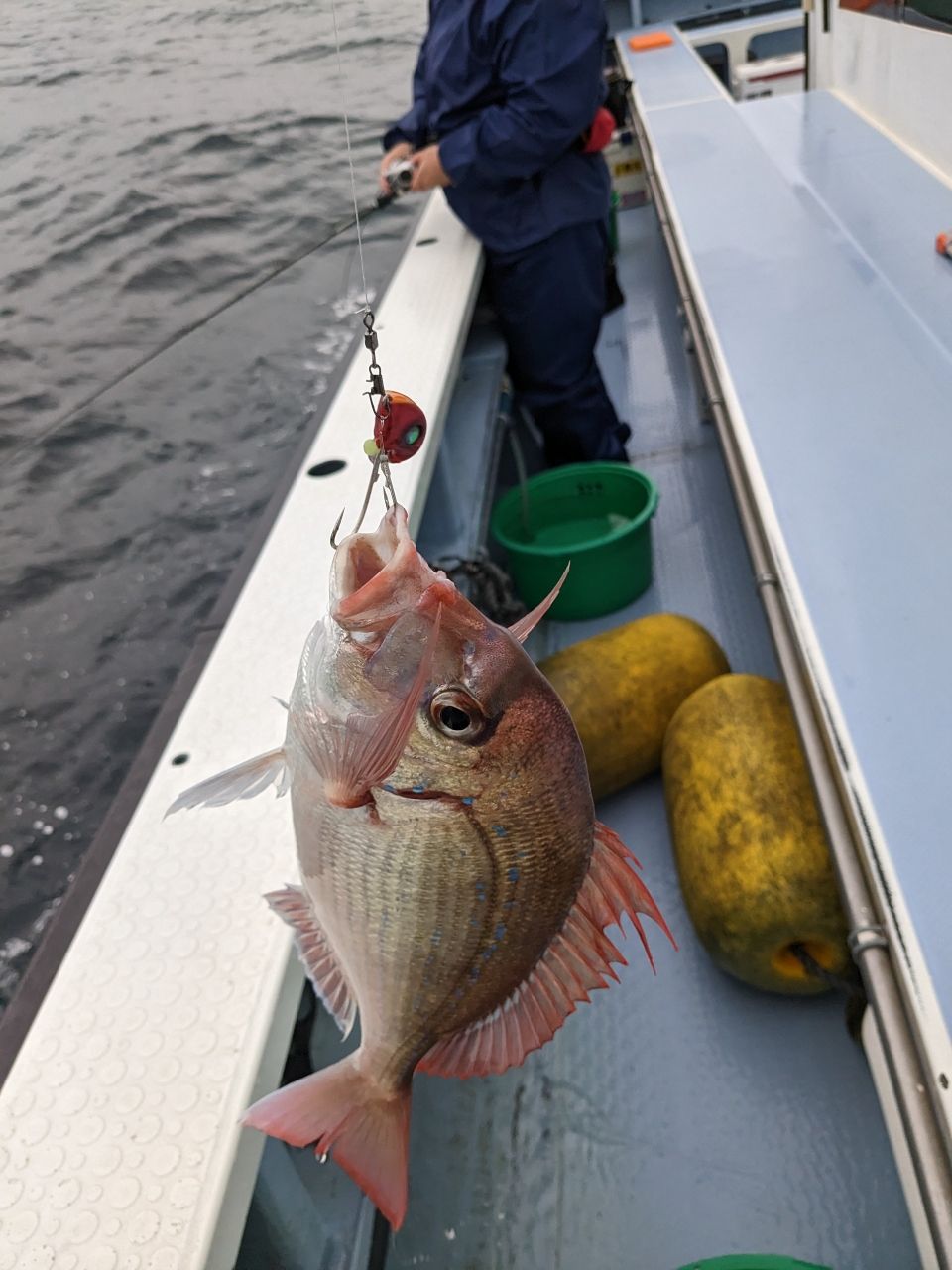 にゃぎだもさんの釣果 2枚目の画像