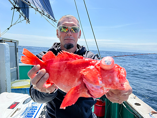 アコウダイの釣果