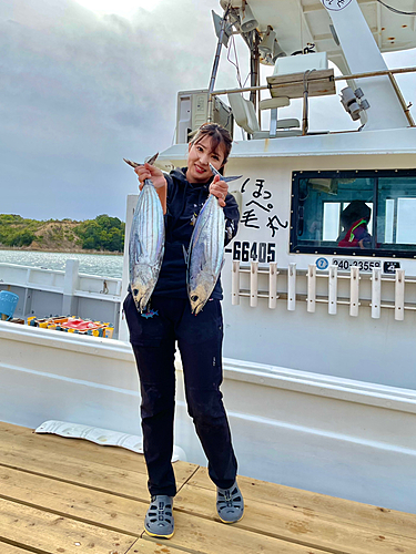 カツオの釣果