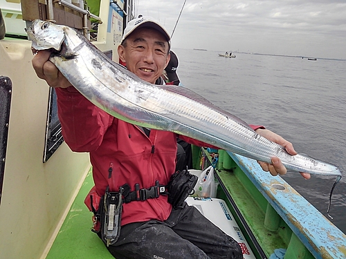 タチウオの釣果