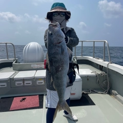 アオチビキの釣果