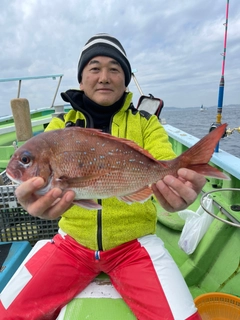 マダイの釣果