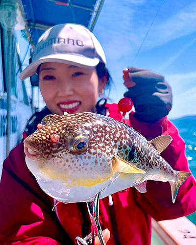 ショウサイフグの釣果