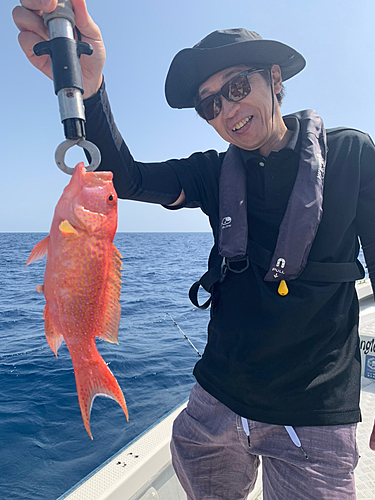 バラハタの釣果