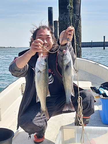 シーバスの釣果