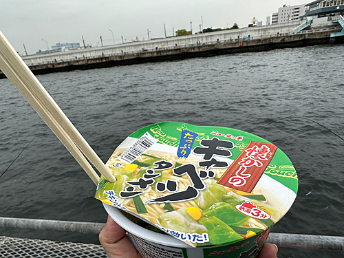 コノシロの釣果