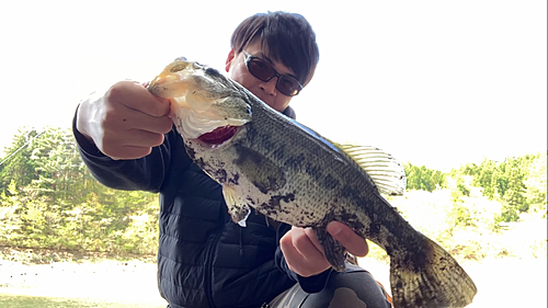 ブラックバスの釣果