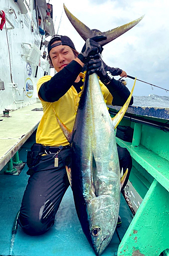 キハダマグロの釣果