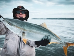 ワラサの釣果