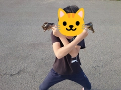 タケノコメバルの釣果