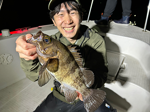 クロメバルの釣果