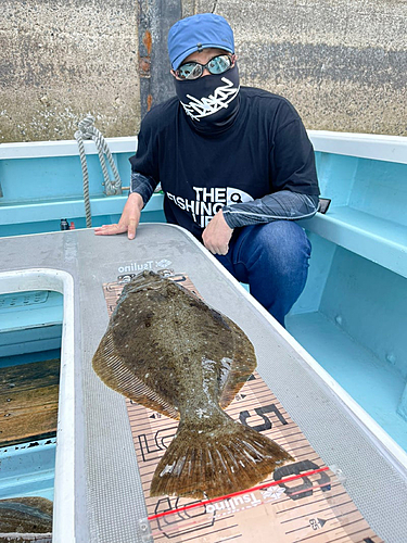 ヒラメの釣果