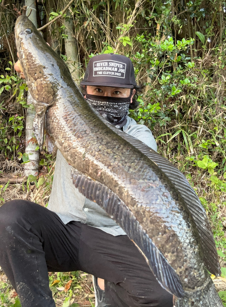 小売 大分県☆雷魚☆ポイントマップ☆厳選17ヵ所☆モンスター☆フロッグ☆2022年最新版