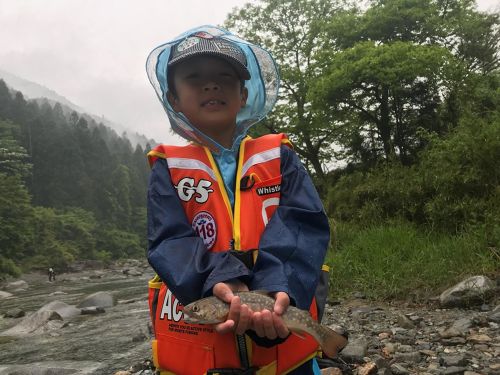 イワナの釣果